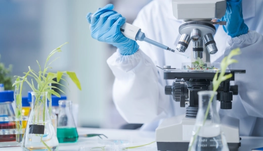 Forschung & Entwicklung