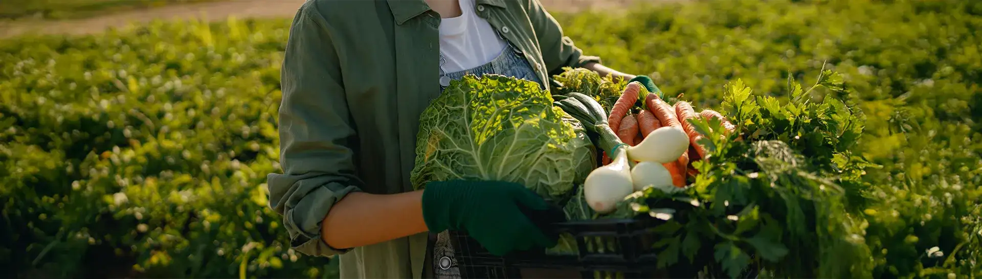 Vitamine & Mineralien