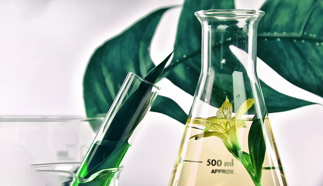 Von der Natur inspiriert